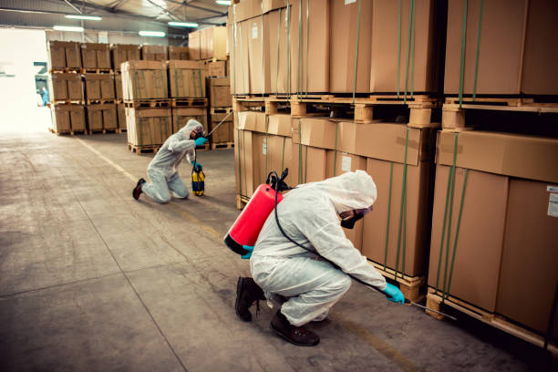 Best Exterminator Services  in Lonsdale, MN