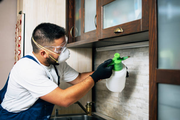 Best Local Pest Control Services  in Lonsdale, MN