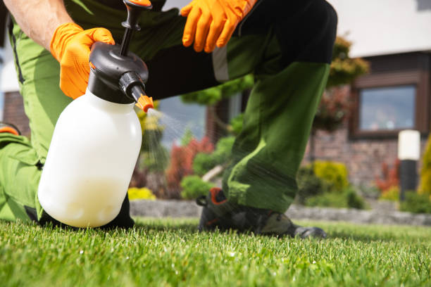 Flea Control Services in Lonsdale, MN