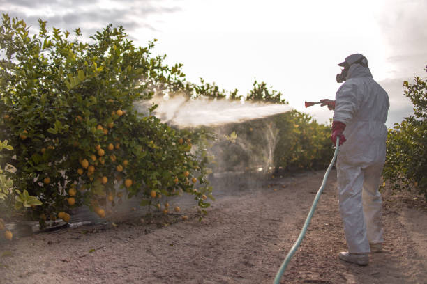 Best Pest Control Near Me  in Lonsdale, MN