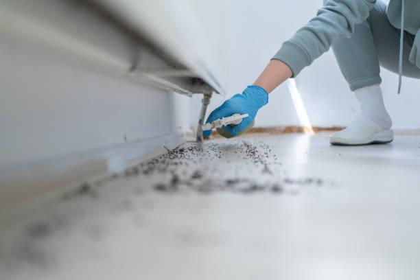 Best Residential Pest Control  in Lonsdale, MN