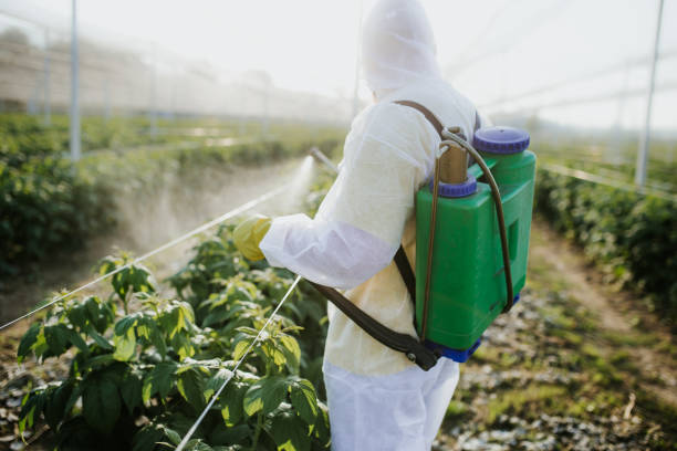 Best Affordable Pest Control Services  in Lonsdale, MN